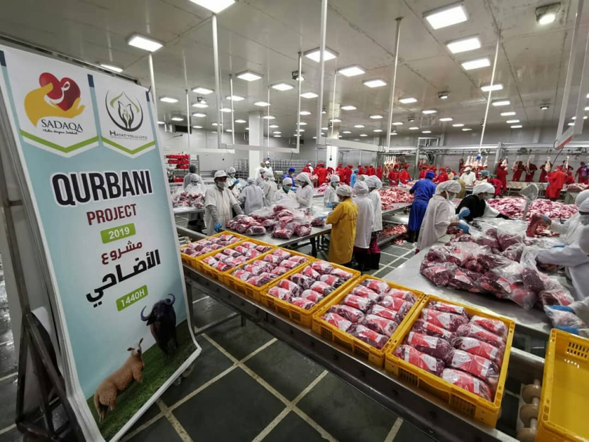 SADAQA Salurkan Hewan Qurban 2019 ke Sejumlah Wilayah Pengungsian