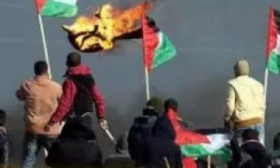 Pemuda Palestina; Romy Waeel Ishaq Qahman Akhirnya Syahid